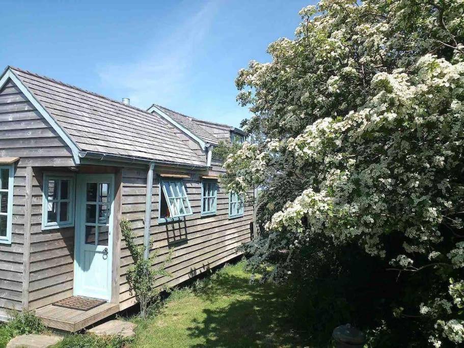 Вілла Tiny House On Isolated Farm By The Cornish Coast Б'юд Екстер'єр фото